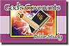 God's Covenant Bibl...