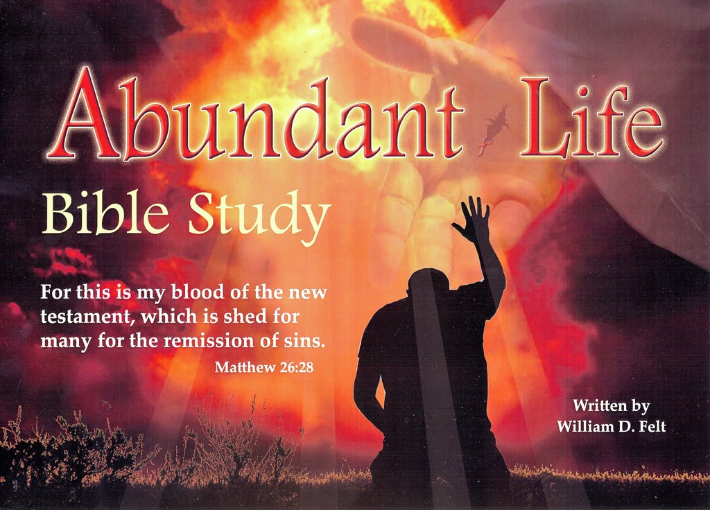 Abundant Life Bible Study (Mini Flipchart) - William Felt