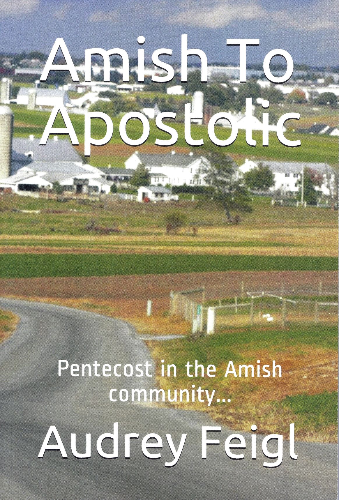 From Amish to Apostolic - Audrey Feigl