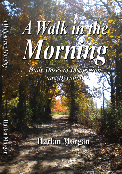 A Walk In The Morning - Harlan Morgan