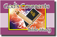 God's Covenant Bible Study: Flip Chart - William Felt (English)