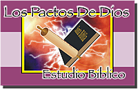 God's Covenant Bible Study: Flip Chart - William Felt (Spanish)