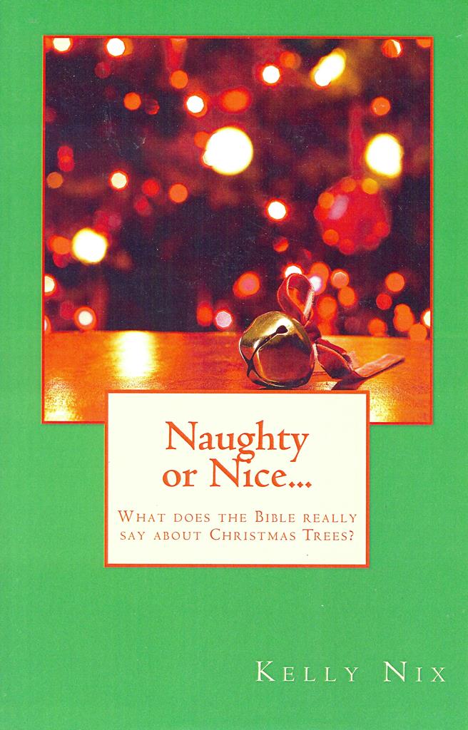 Naughty or Nice - Kelly Nix