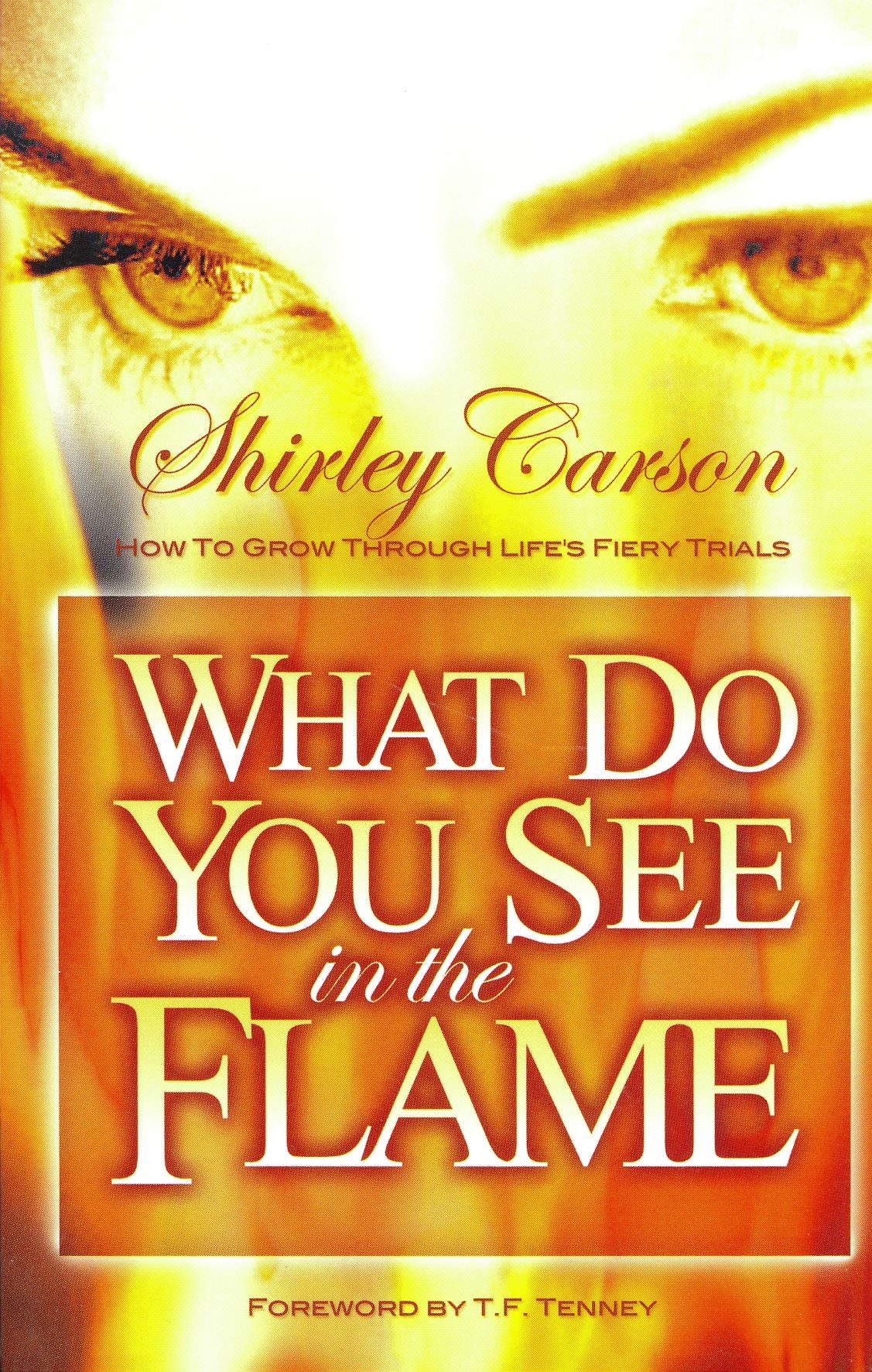 What Do You See in the Flame - Shirley Carson