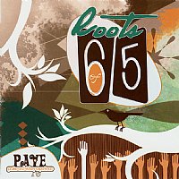 Roots of 65 - PAVE (CD)