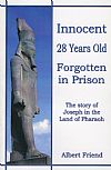 Innocent-Forgotten in Prison - Albert Friend